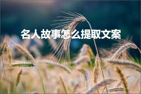 日照电子产品发票 名人故事怎么提取文案